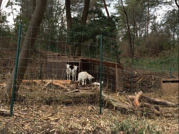 草原網安裝案例2